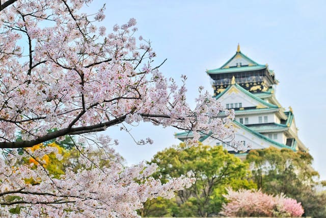 Templo de Japon con árbol de cereza kyoto viajes internacionales