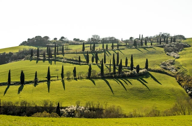 Vista aeria de la toscana con arboles viajes internacionales