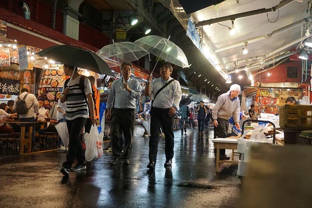 viajes internacionales y nacionales japón